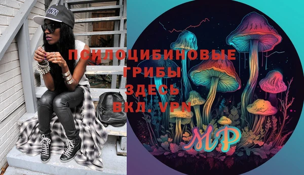 ГАЛЛЮЦИНОГЕННЫЕ ГРИБЫ Бугульма