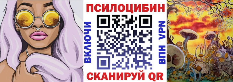 Купить где Ладушкин Галлюциногенные грибы Psilocybine cubensis