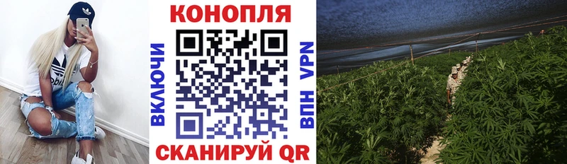 Шишки марихуана Bruce Banner Ладушкин